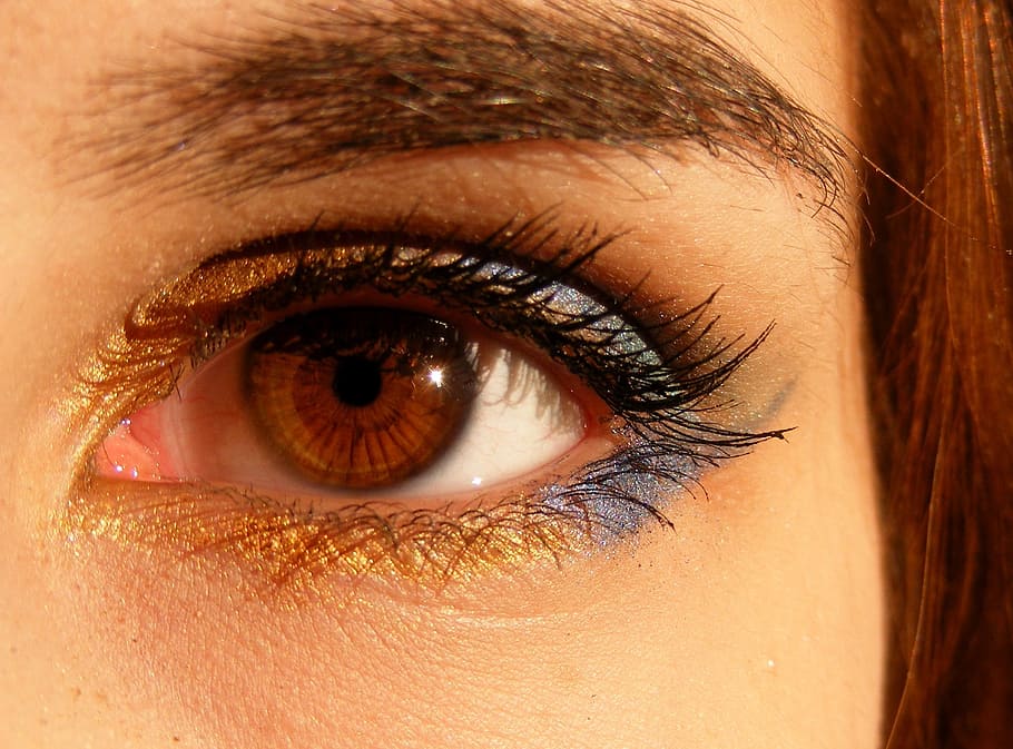woman's brown eye, right, human eye, brown, brown eyes, iris, gene, light, eye, coloring