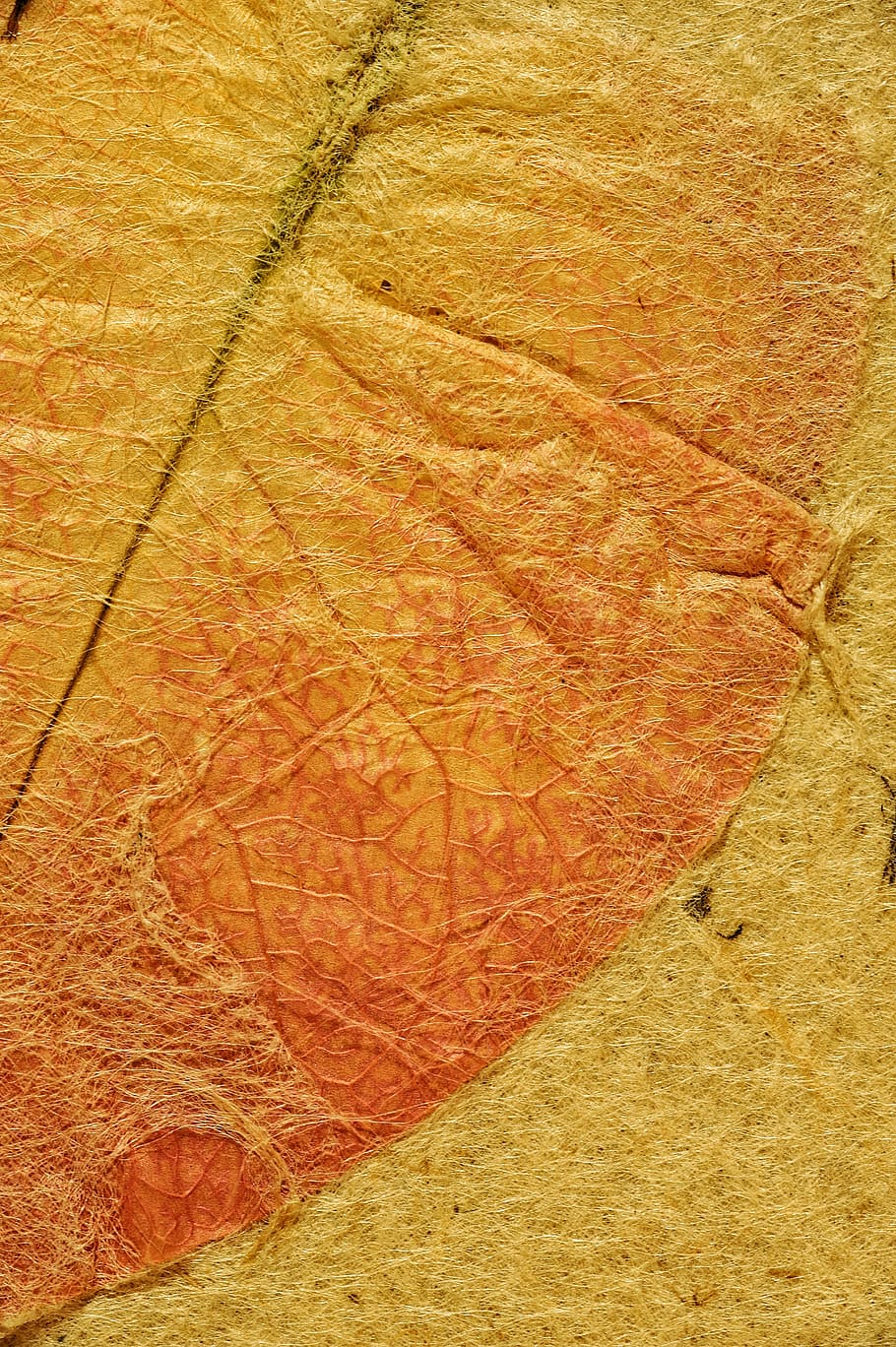 orange leaf, map, parchment, ancient, background, texture, zen, time, gold, book