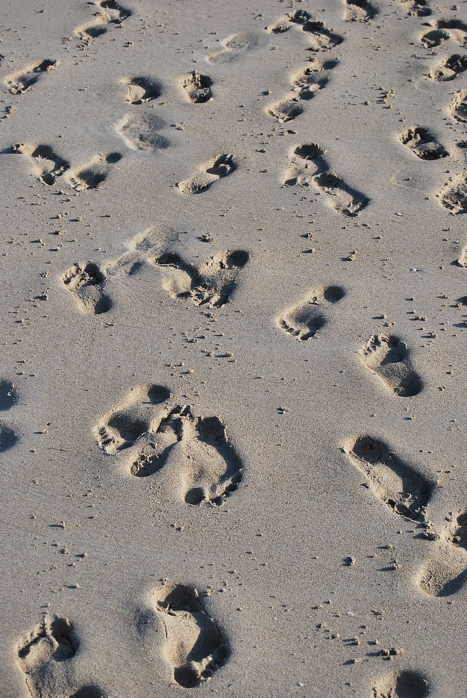 treads, beach, sand, tread, footprint, barefoot, summer, path, human, land
