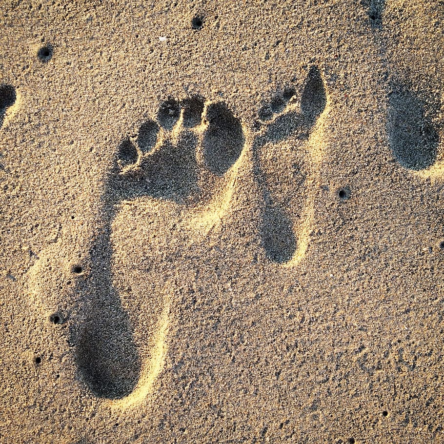 footprints, sand, footprint, beach, land, high angle view, day, print, nature, sunlight
