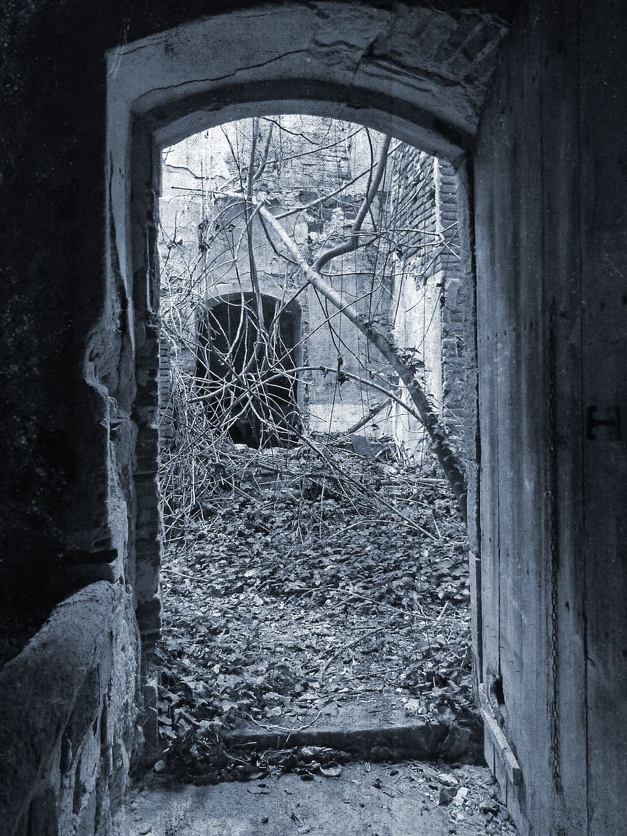Door, Ruin, Mystery, Terror, Abandoned, happy, history, damaged, window, architecture
