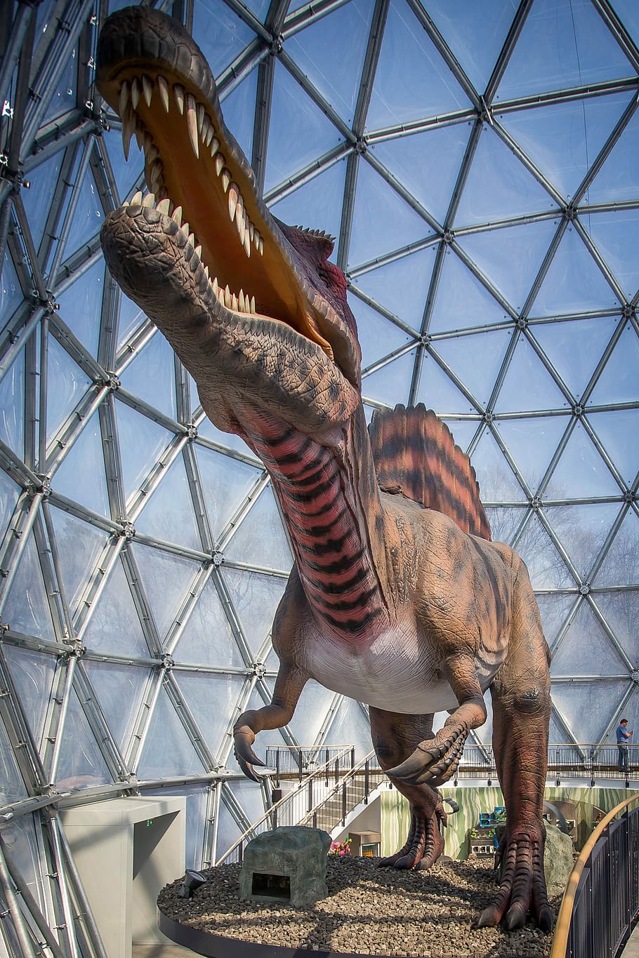 ジャイアント トカゲ 恐竜 爬虫類 巨大トカゲ 竜脚類 ウルティエ 捕食者 先史時代 肉食動物 Pxfuel