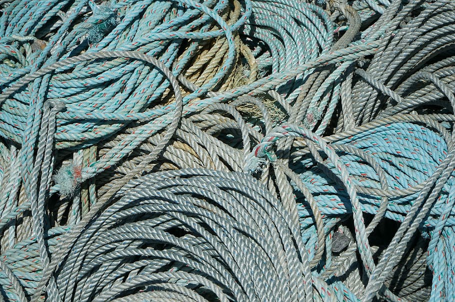 Commercial, Fishing, Rope, Industry, Sea, commercial, fishing, fish, fisherman, net, nautical