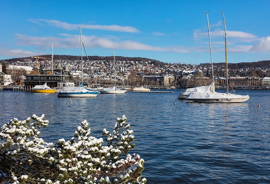Zurich, Suiza, vista, ciudad, lago Zurich, orilla del lago, nieve, blanco, invierno, colina