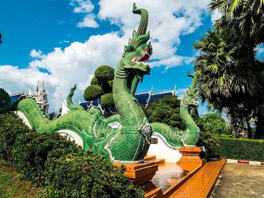 寺院の複合体, ドラゴン, 彫刻, 北タイ, 工場, 空, 雲-空, 木, 建築, 自然