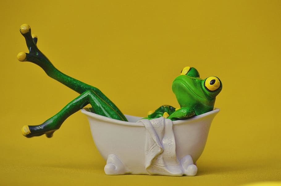 verde, decoración de la bañera, rana, baño, nadar, relajación, relajarse, divertido, cuidado del cuerpo, figura