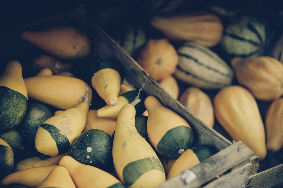 food, fruits, vegetables, farm, fresh, market, grocery, squash, wood, pallets