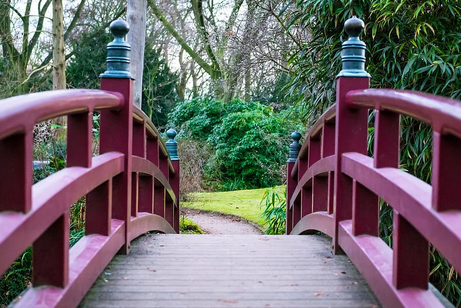 まず 人の視点の写真 赤 橋 日本庭園 手すり 橋の手すり 離れて 庭 木製の橋 Pxfuel