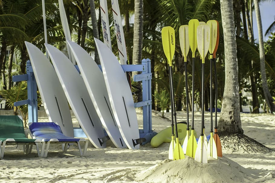 four, white, paddle boards, dominicana, punta cana, beach, chair, nature, seat, plant