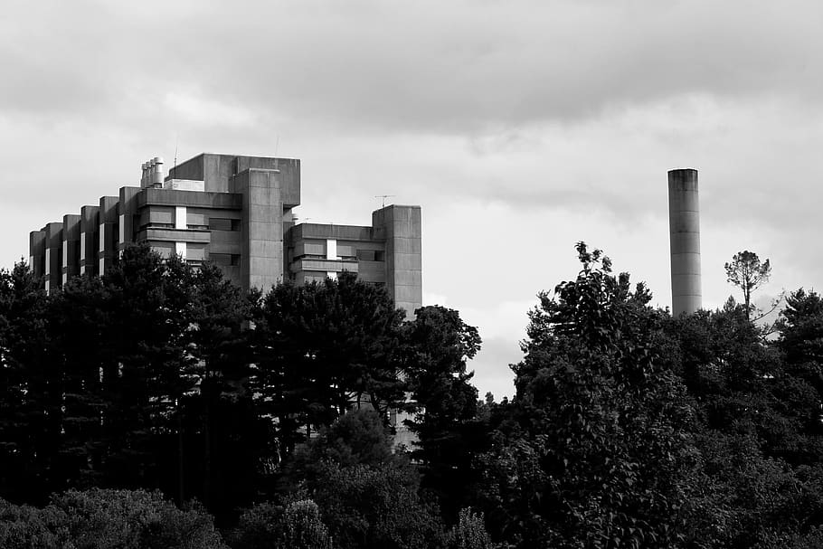 monochrome, building, exterior, factory, trees, industrial, architecture, structure, city, urban