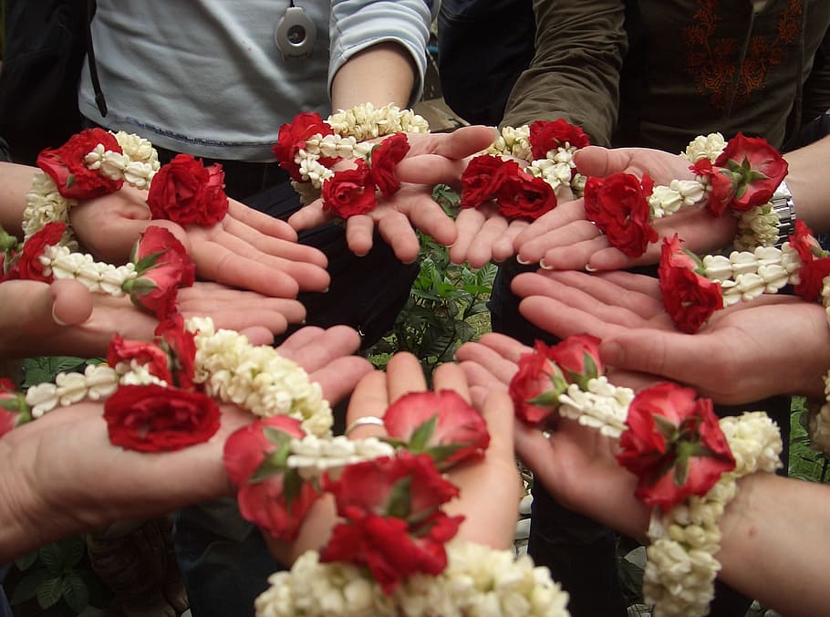 Kerja tim, Bunga, Kekuatan, Grup, Tangan manusia, orang, wanita, memegang, cinta, karangan bunga
