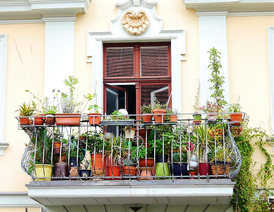 Balcony, Home, Facade, Flowers, flower pots, old, architecture, window, house, outdoors