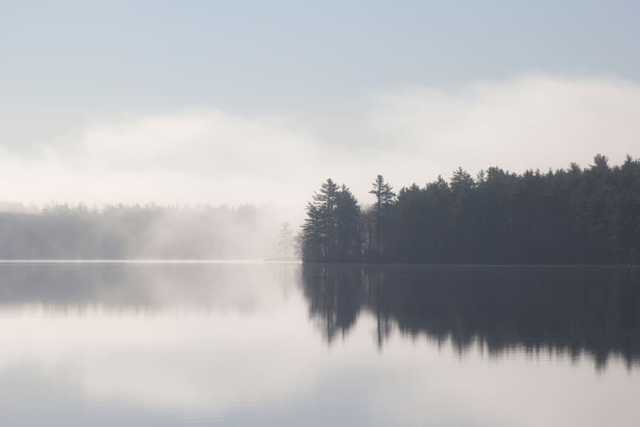 Lago, agua, reflexión, niebla, árboles, naturaleza, paisaje, árbol, tranquilidad, belleza en la naturaleza
