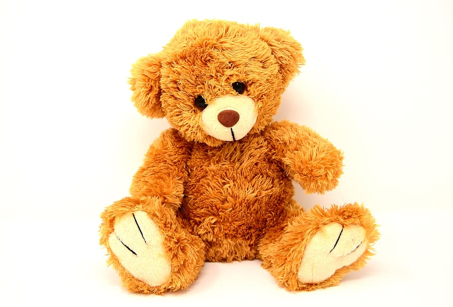 brown, teddy, bear, plush, toy, soft toy, bears, funny, teddy bear, cute