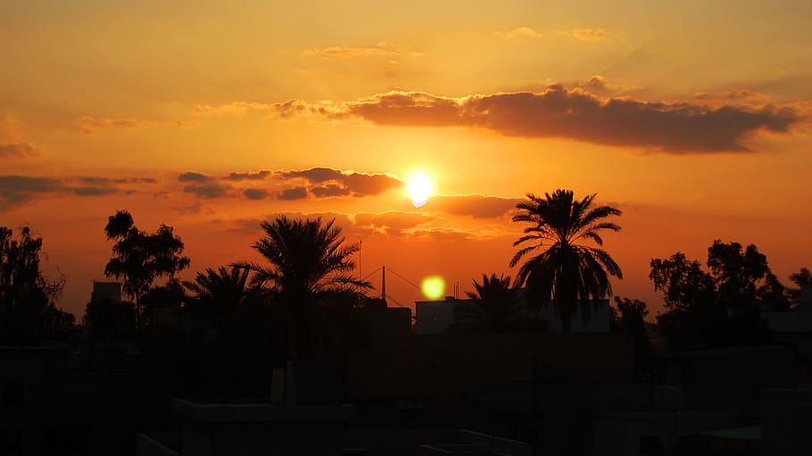 Sunset, Baghdad, Palm Trees, Iraq, silhouette, palm tree, scenics, sun, tree, sky