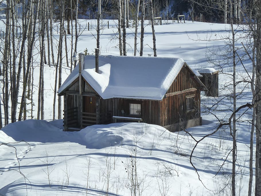 brown, white, house, surrounded, snow, winter, season, cold, old cabin, building