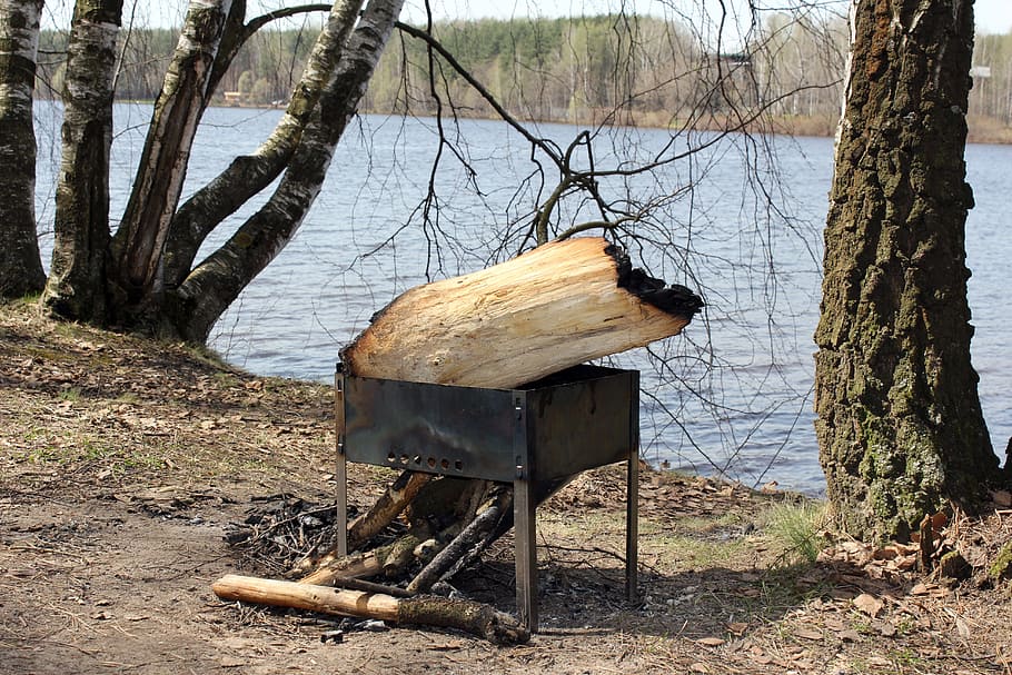 forest, vacation, firewood, mangal, trees, russia, nature, spring, river, beach