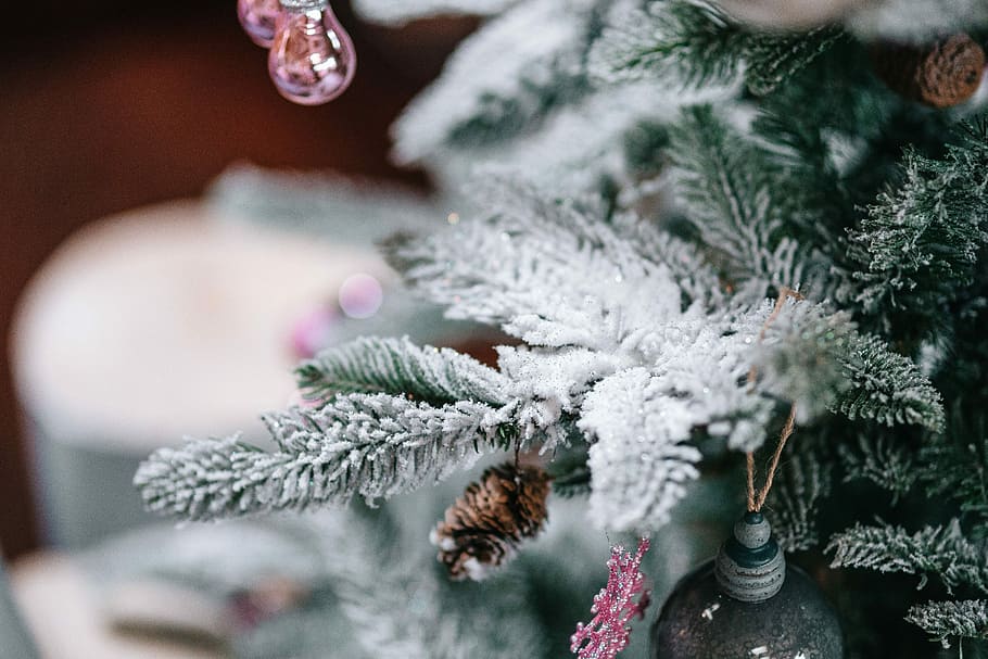 dekorasi pohon natal, pohon Natal, dekorasi, pohon, natal, bola Natal, xmas, bola, musim dingin, ornamen natal