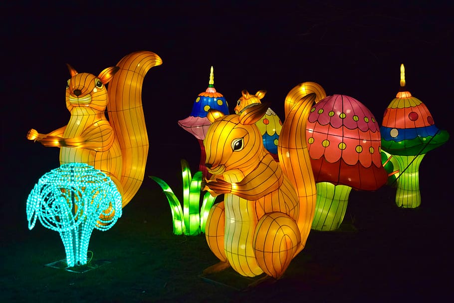 lanterns, chinese, night, lights, colors, squirrels, art and craft, animal representation, animal, representation