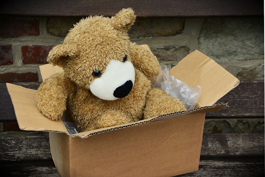 marrom, urso, pelúcia, brinquedo, caixa, pacote, feito, embalagem, enviar, caixa de papelão