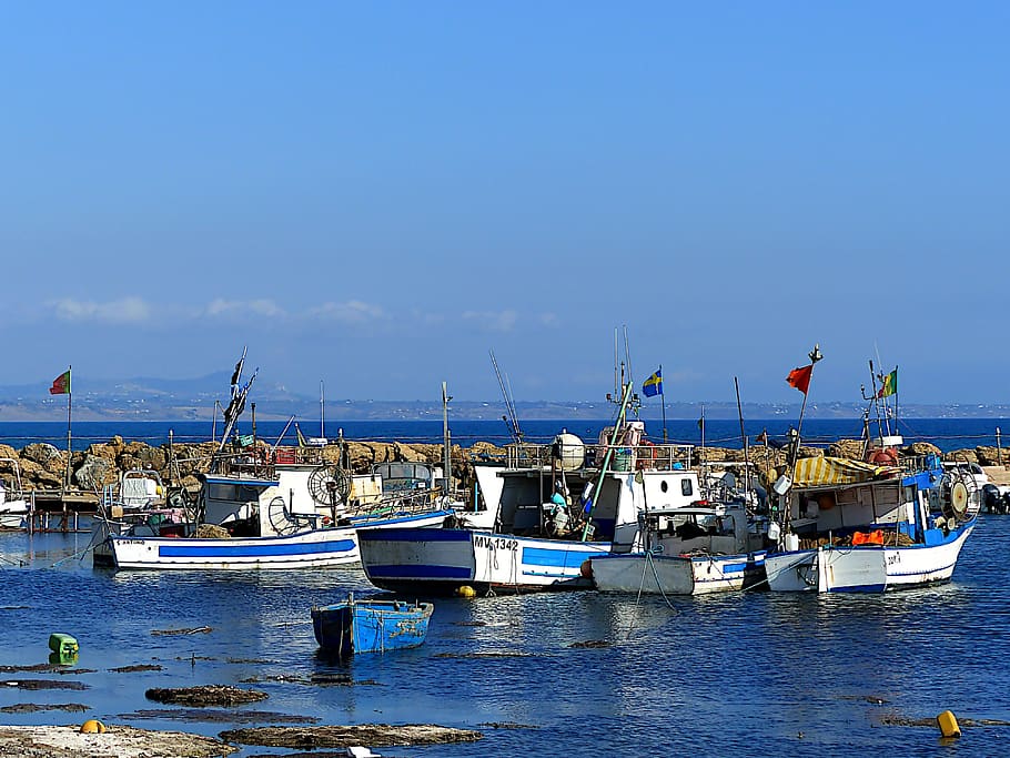boats, fishing, port, sicily, fisherman, ocean, side, sea, water, mediterranean