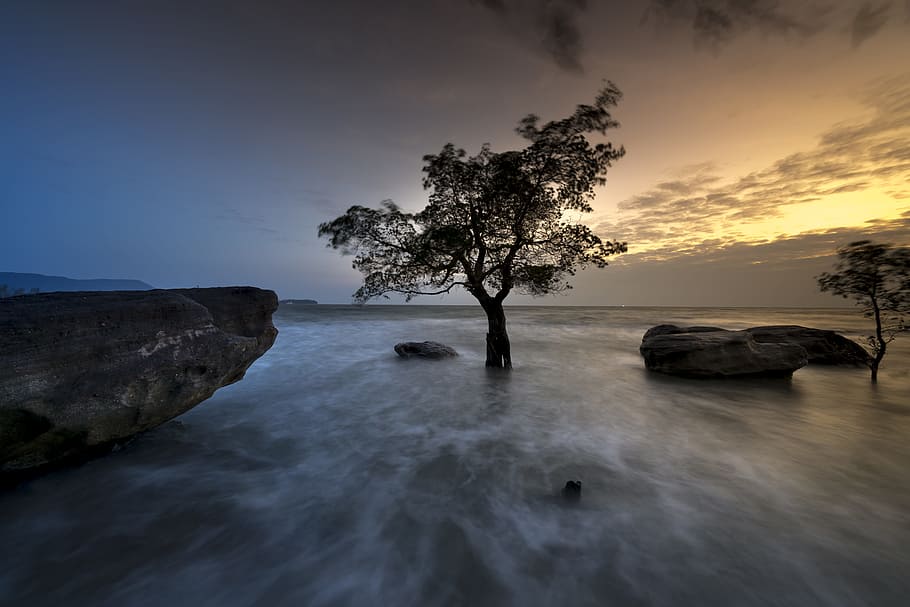 timelapse photo, body, water, golden, hour, phu quoc, island, vietnam, trees, mangrove