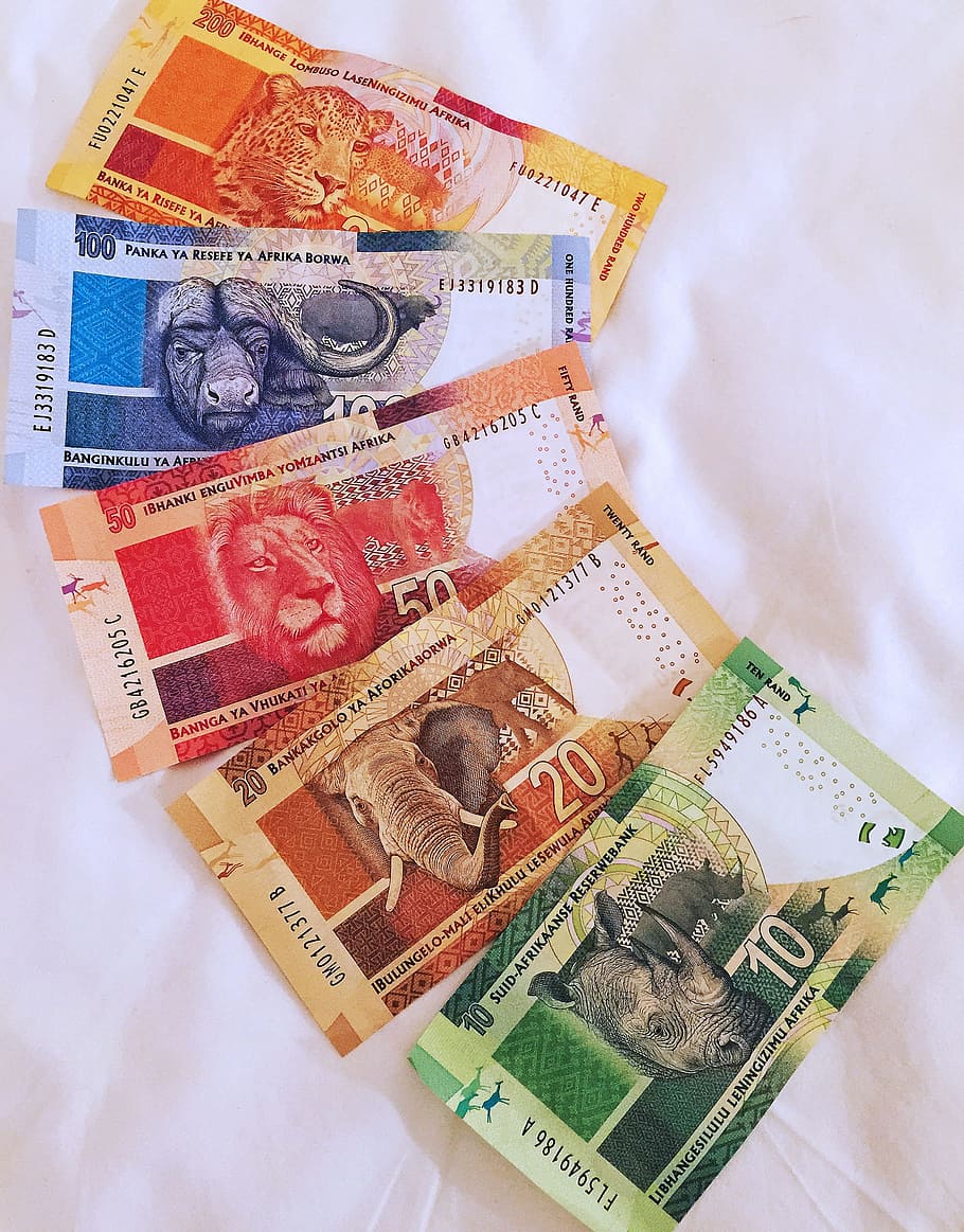 cinco, notas, branco, têxtil, moeda africana, moeda, big 5, dinheiro, animais, bonito