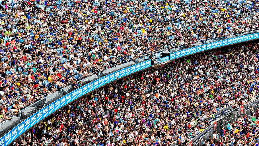 stadium, people, cricket, crowd, group of people, high angle view, large group of people, real people, day, spectator