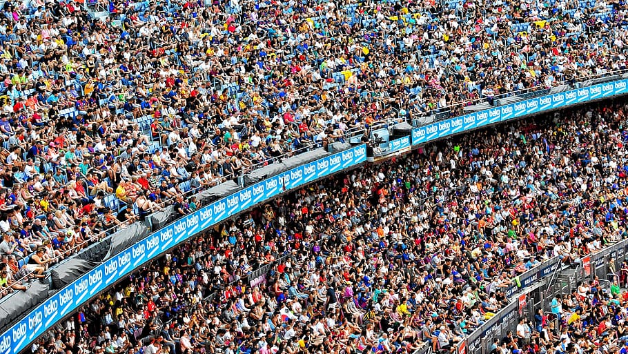 stadium-people-cricket-crowd-group-of-people-high-angle-view