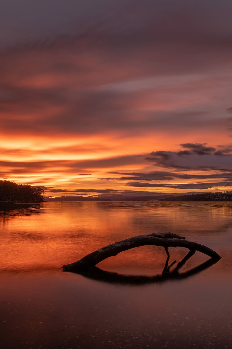木の枝 湖 オーストラリア タスマニア トライアルベイケタリング 日没 夕暮れ 夜明け 反射 水 Pxfuel