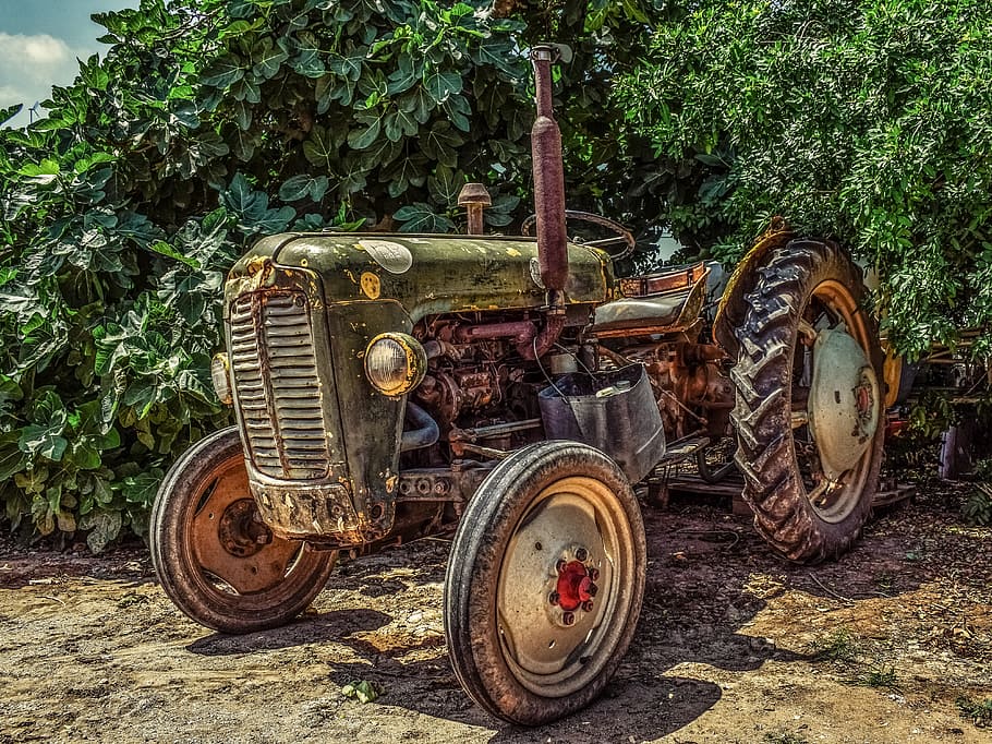 green, brown, utility tractor, plants, utility, tractor, green plants, farm, countryside, agriculture