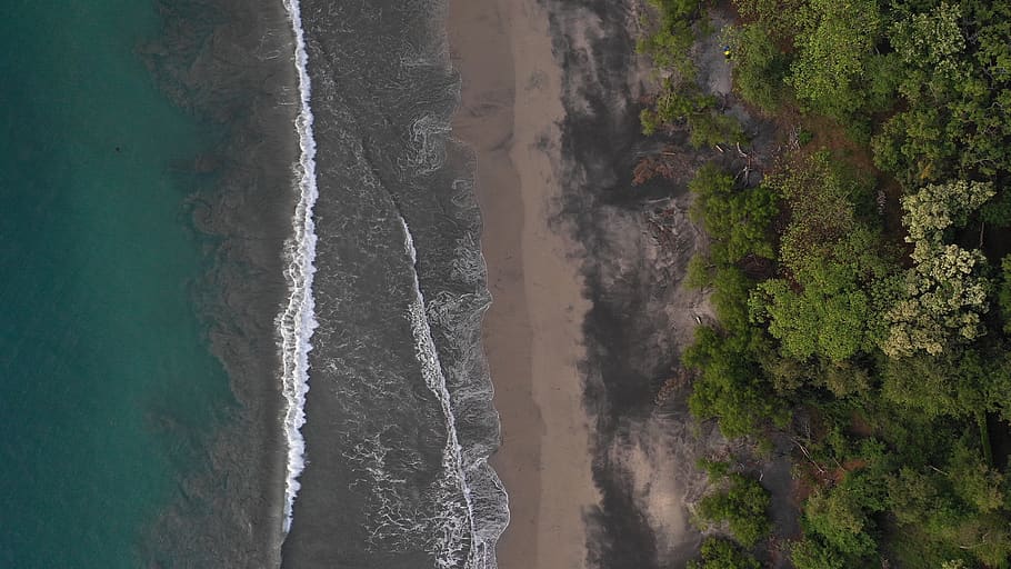aerial, water, trees, waves, nature, outdoors, forest, shore, coast, drone
