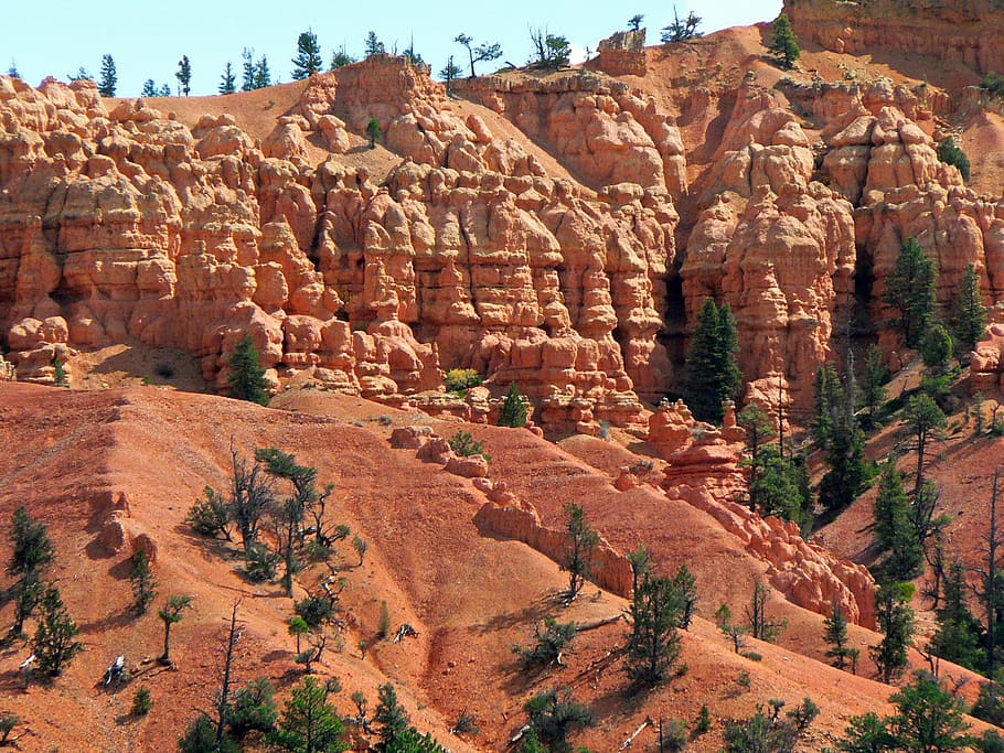 usa, bryce canyon, landscape, america, rock formation, rock, physical geography, rock - object, geology, travel destinations