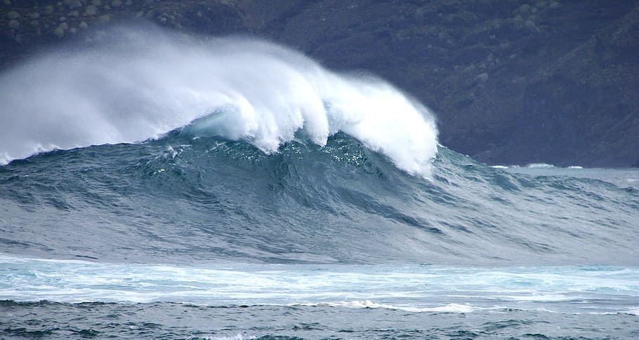 Wave, Violent, Water, Sea, Tenerife, wind, head, surf, forward, nature