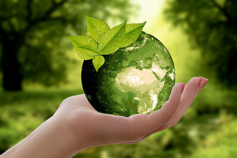person, holding, green, crystal ball, nature, earth, sustainability, leaf, caution, cycle