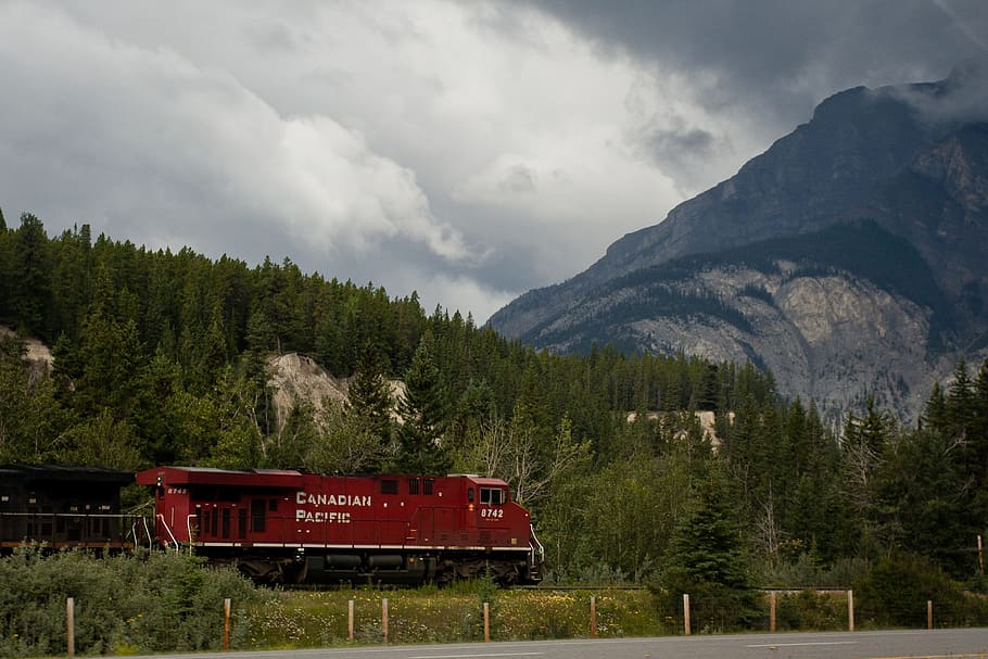 Tren, Rocky Mountain, Rocky, Mountain, transporte, ferrocarril, canadá, locomotora, motor, carga