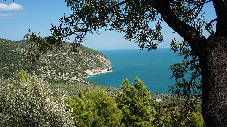 Italia, Puglia, verano, Salento, paisaje, mar, naturaleza, ampulie, paisaje marino, Vieste