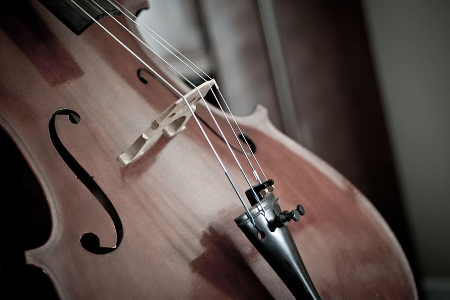 close-up photography, brown, violin, cello, detail, instrument, string, musical, stringed instrument, string instrument