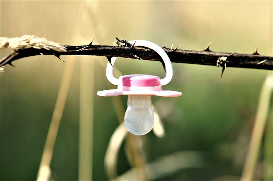 Pacifier, Lollipop, Plastic, nuggi, grass, nature, baby, safety, security, protection