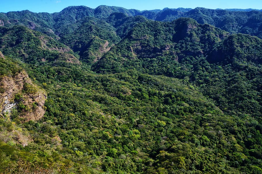 Forest, Hills, Mountains, El Salvador, forest, hills, the impossible, nature reserve, trees, rocks, holiday