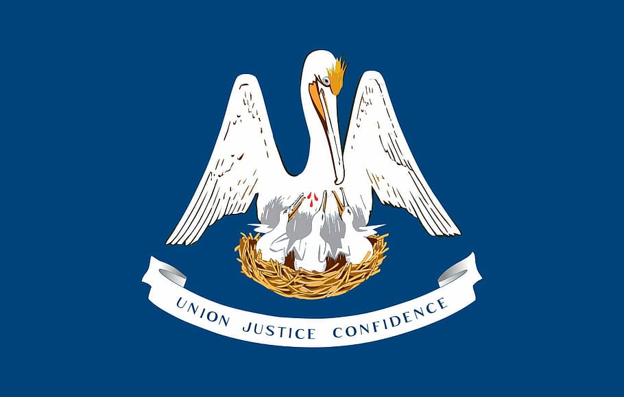 bandera del estado de louisiana, Louisiana, bandera del estado, incrustado, bandera, dominio público, símbolo, Estados Unidos, insignia, pájaro