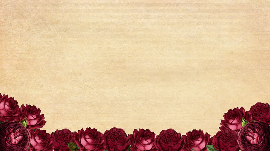 merah, mawar, merangkai bunga, bingkai, gambar latar belakang, bunga, mawar merah, lusuh, chic, vintage