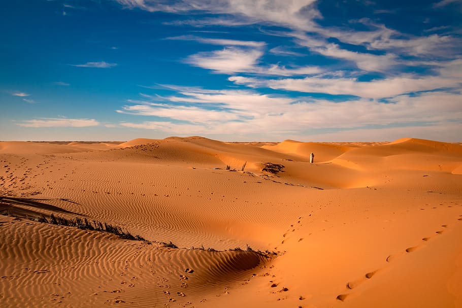 argélia, lugar, deserto, saara, dia, áfrica, dunas, areia, quente, duna de areia