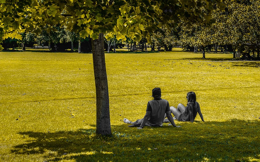 people, sitting, park, green, tree, person, lifestyle, young, woman