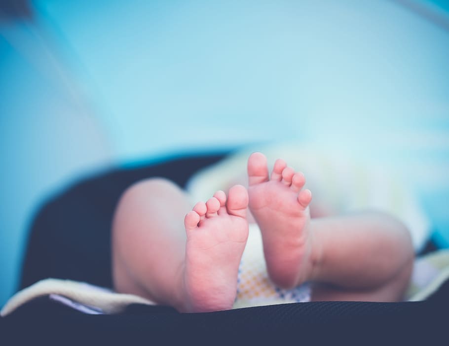 par de pies, bebé, pies de bebé, niño, pequeño, macro, recién nacido, joven, descalzo, parte del cuerpo humano