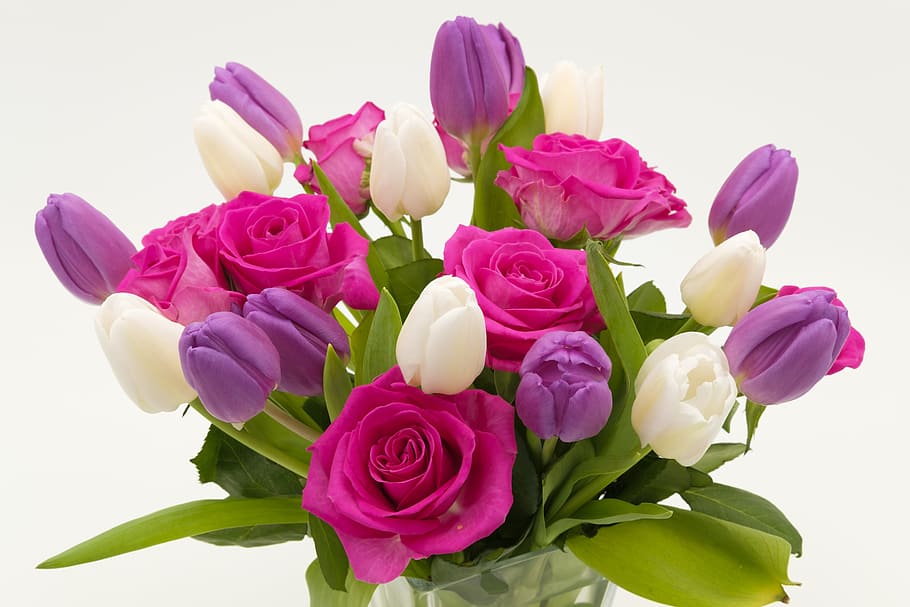 merah muda, putih, ungu, mawar, bunga tulip, buket, karangan bunga mawar, karangan bunga tulip, tulip, bunga