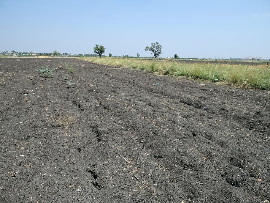 black soil, regur, tropical chernozem, cracked, basaltic, karnataka, india, agriculture, dirt, land