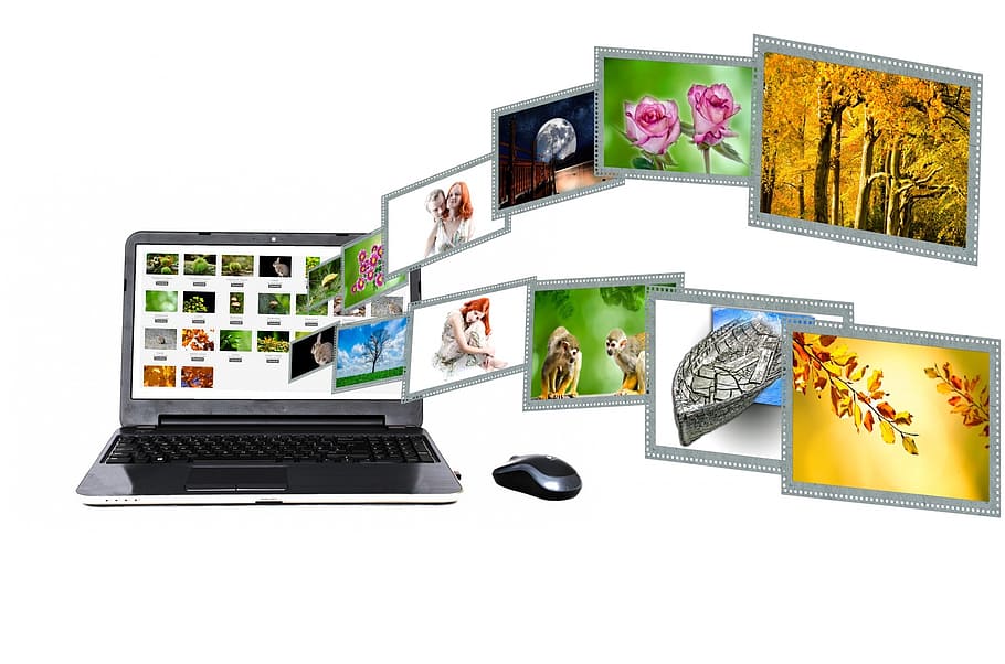 grey, laptop computer, bluetooth mouse, internet, content, portal, search, laptop, concept, business