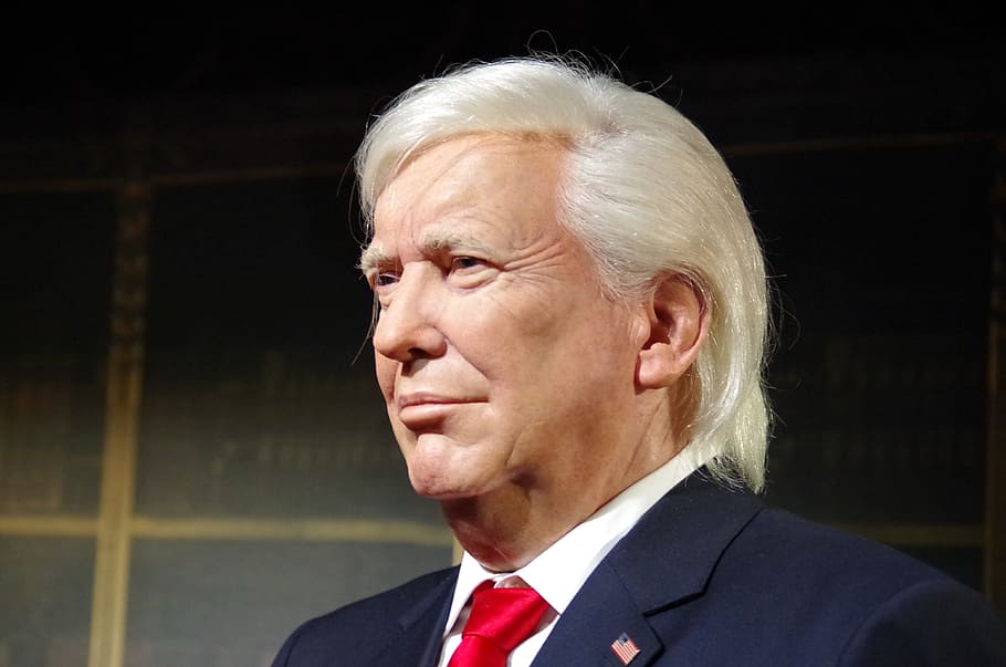 donald trump, trump, the president of the, us, a wax dummy, headshot, adult, portrait, senior adult, one person