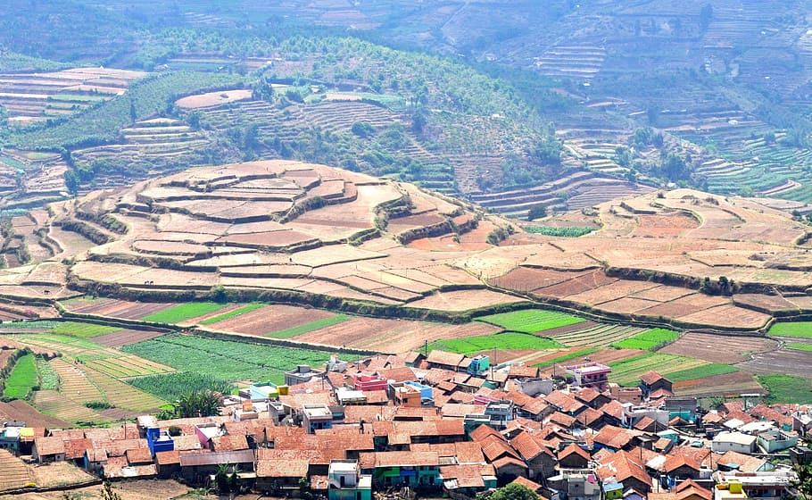 Terraços de arroz, Em socalcos, Cultivo, terraço, fazenda, agricultura, arroz, lado da colina, vale, paisagem
